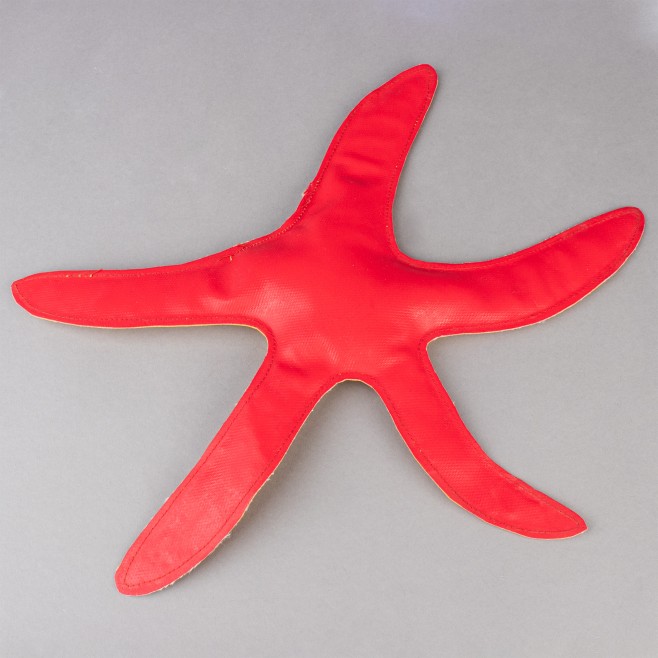 SUBMERSIBLE STARFISH