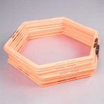 HEXAGONAL AGILITY AND SPEED LADDER