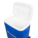 PROFESSIONAL MEDICAL REFRIGERATOR