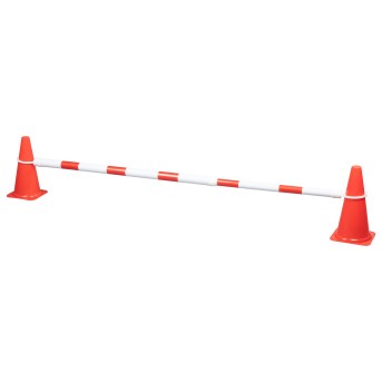 TOPGIM EXTENDABLE GYM STICK