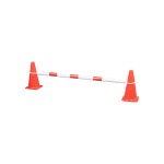 TOPGIM EXTENDABLE GYM STICK