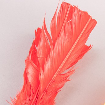 RECARGA DE PLUMAS PARA INDIAKA