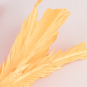 RECARGA DE PLUMAS PARA INDIAKA