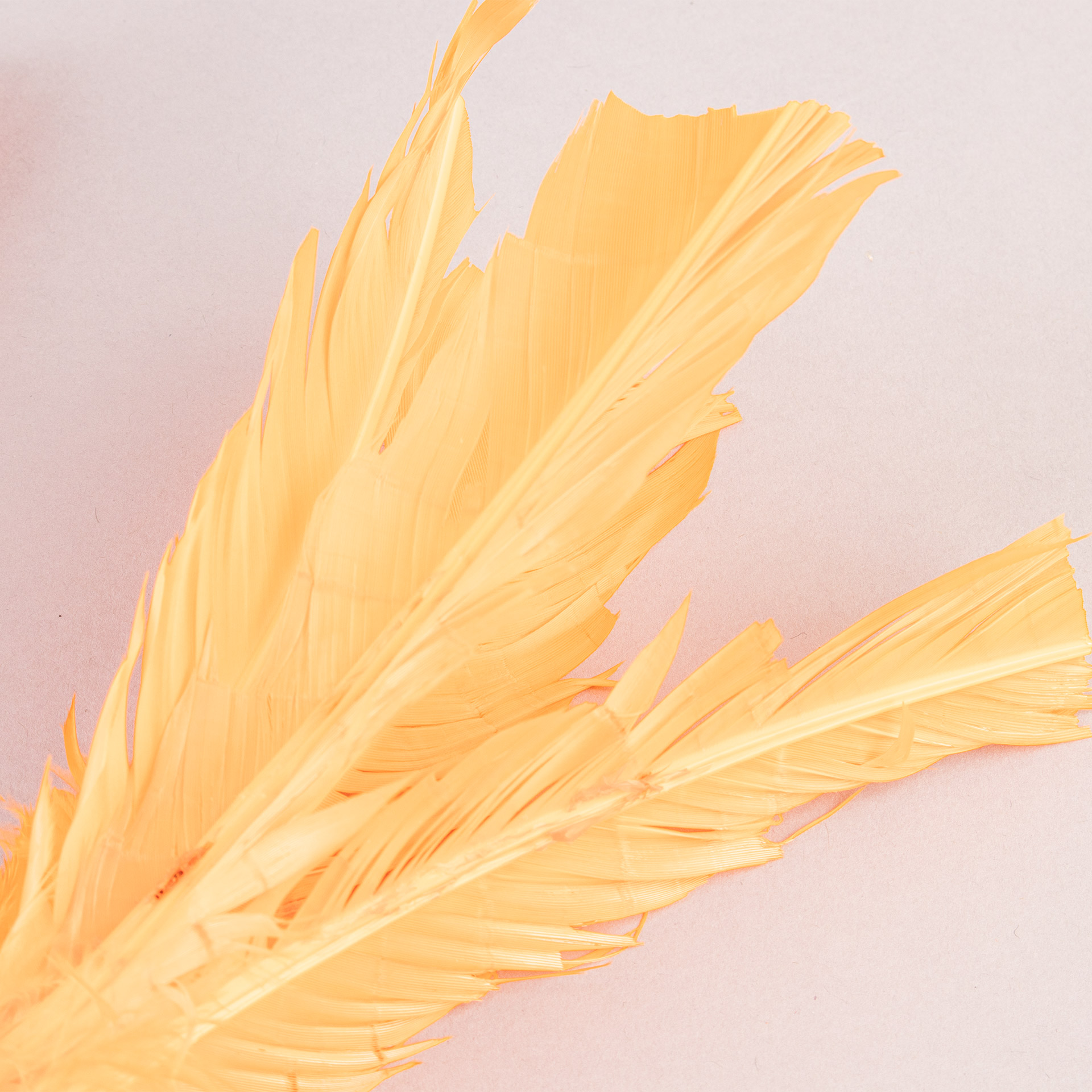 RECARGA DE PLUMAS PARA INDIAKA