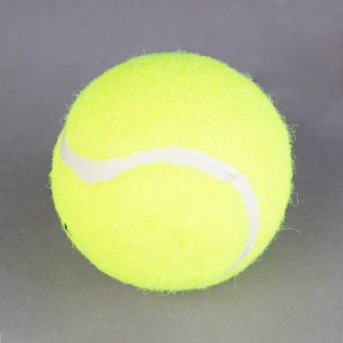 PELOTA TENIS DE CAMPO TOPGIM TRAINING PELOTA TENIS DE CAMPO TOPGIM TRAINING
