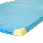 COLCHONETA DE GIMNASIA 250x125x6cm