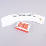 BARALHO CARTAS POKER