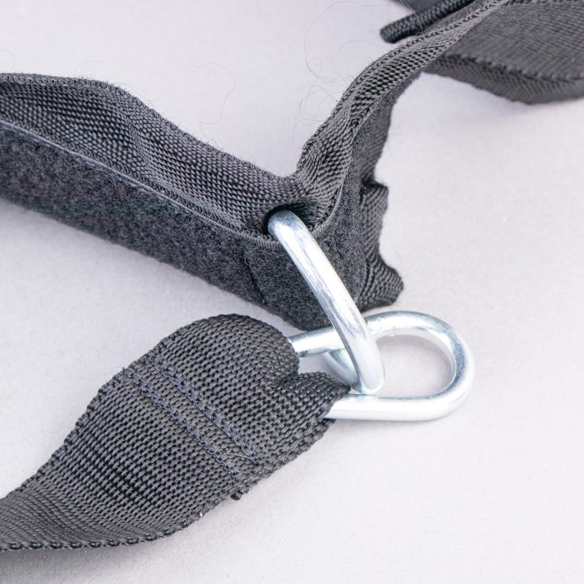 CINTURÓN DE EVASIÓN - CINTURÓN DE EVASIÓN