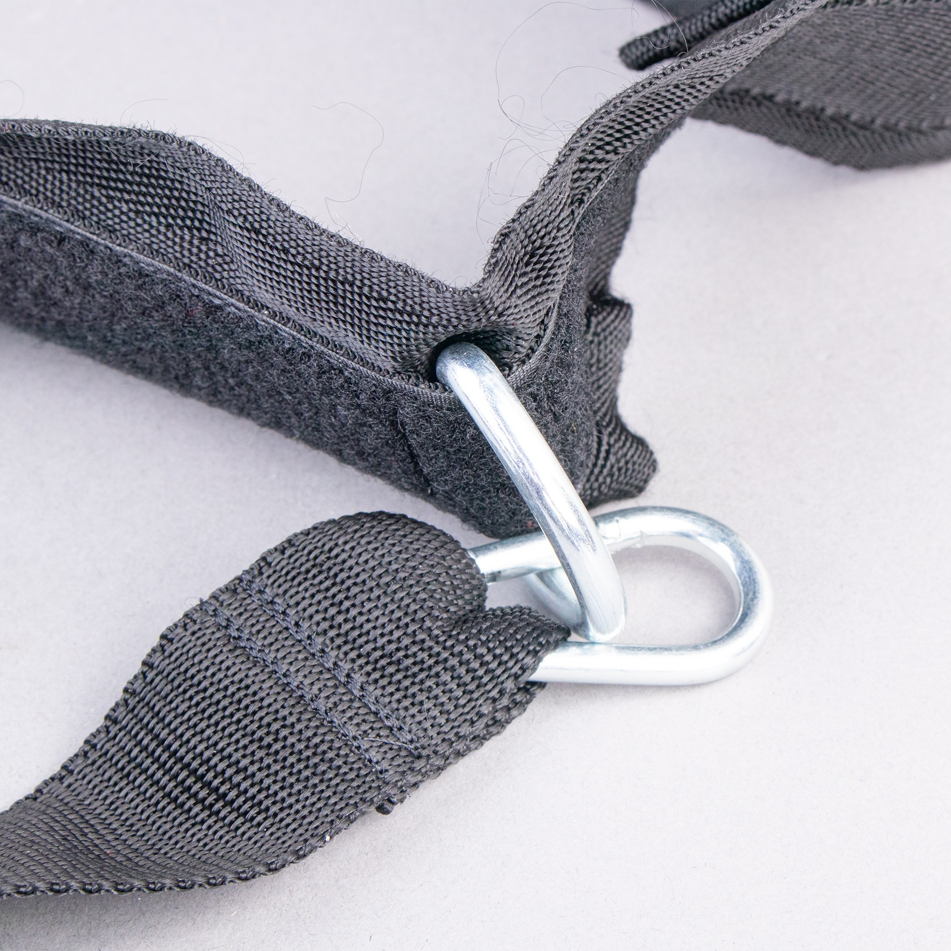 CINTURÓN DE EVASIÓN - CINTURÓN DE EVASIÓN