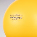 BOLA VOLEIBOL LEDRA SOFT PLAY