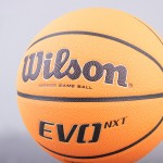 BOLA BASQUETEBOL WILSON EVO NXT FPB