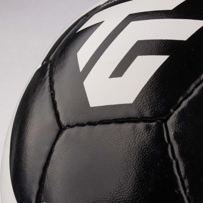 BOLA PARA SUSPENDER TOPGIM XS TRAINING