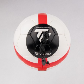 BOLA PARA SUSPENDER TOPGIM XS TRAINING