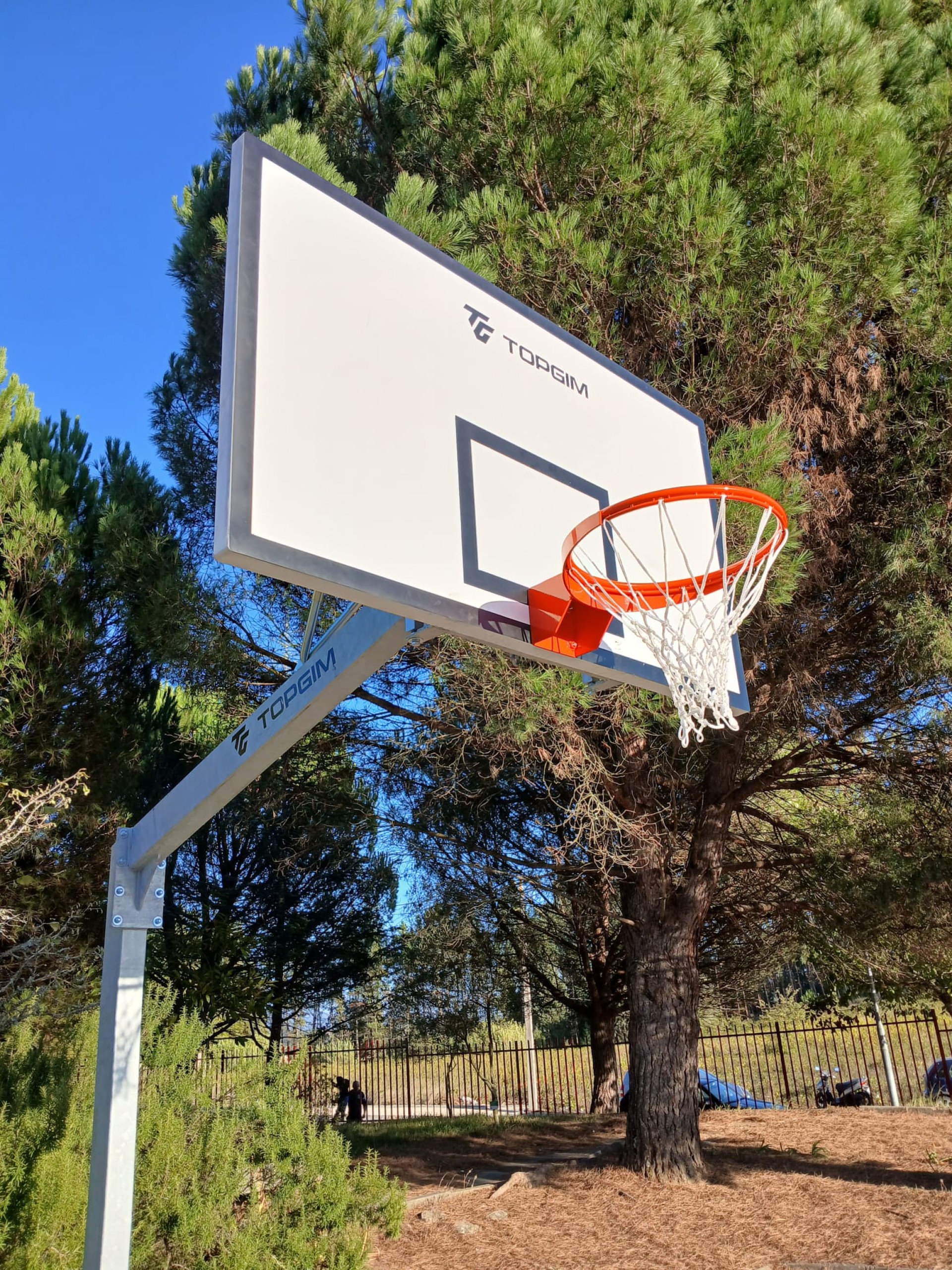 CONJUNTO COMPLETO DE BALONCESTO ALTURA AJUSTABLE