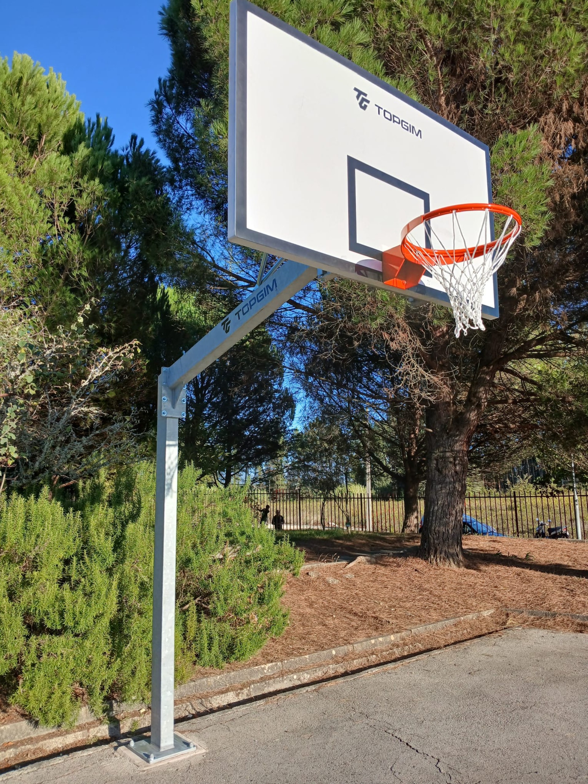 CONJUNTO COMPLETO DE BALONCESTO ALTURA AJUSTABLE