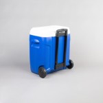 GELEIRA MÉDICA PROFISSIONAL