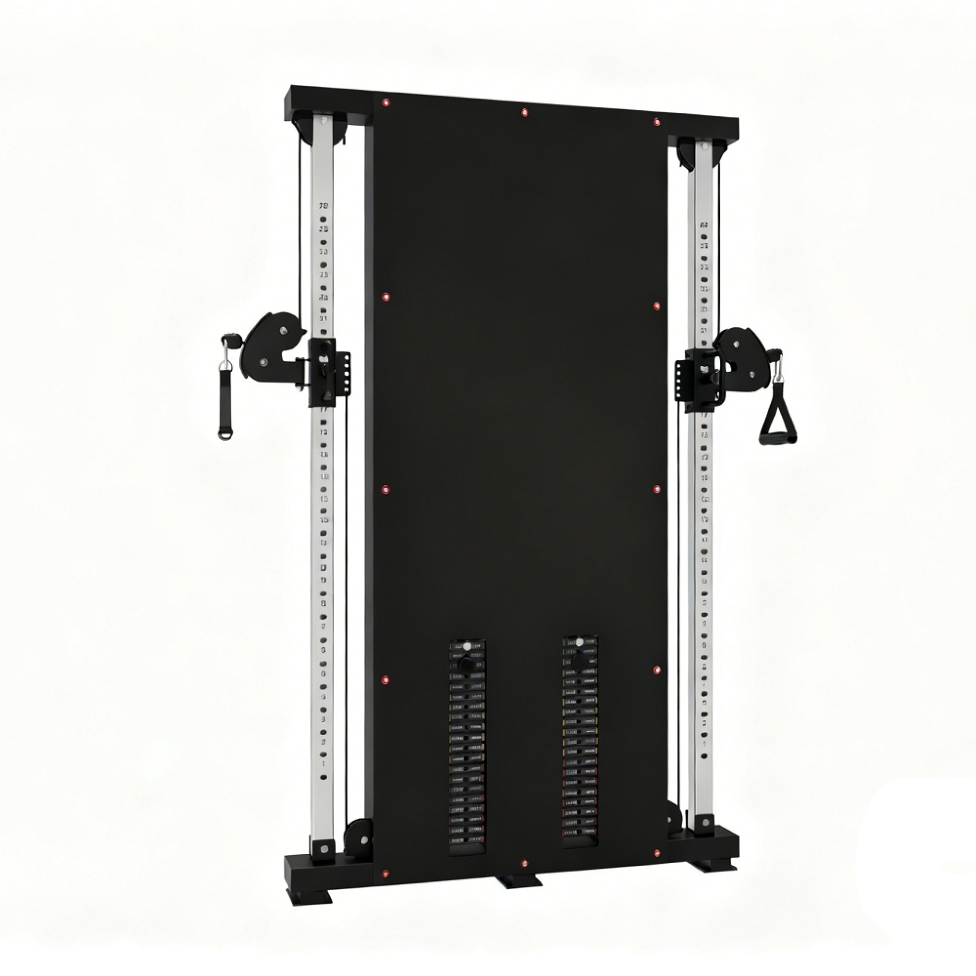 WALL MOUNTED FUNCTIONAL TRAINER