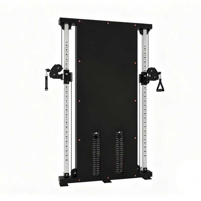 WALL MOUNTED FUNCTIONAL TRAINER