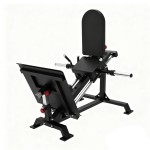 LEG PRESS D1000