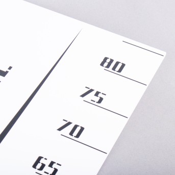 FITESCOLA VERTICAL JUST EVALUATION WALL SCALE