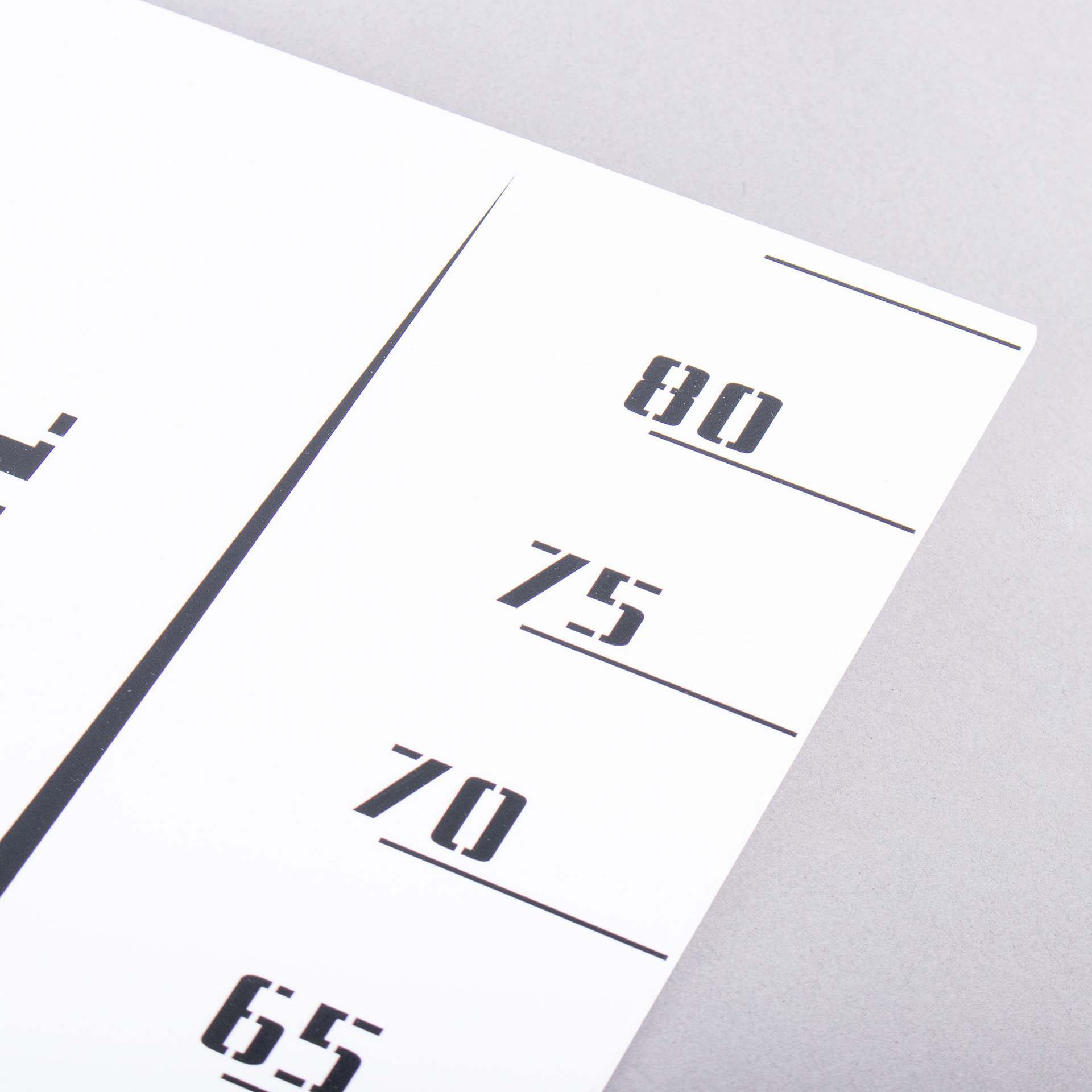 FITESCOLA VERTICAL JUST EVALUATION WALL SCALE