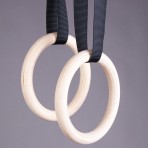 Rings, Wall Bars and Parallels