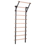 Balance Bench and Wooden Wall Bars