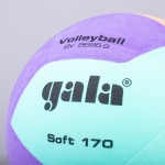 VOLLEYBALL BALL GALA BV5685SC T5