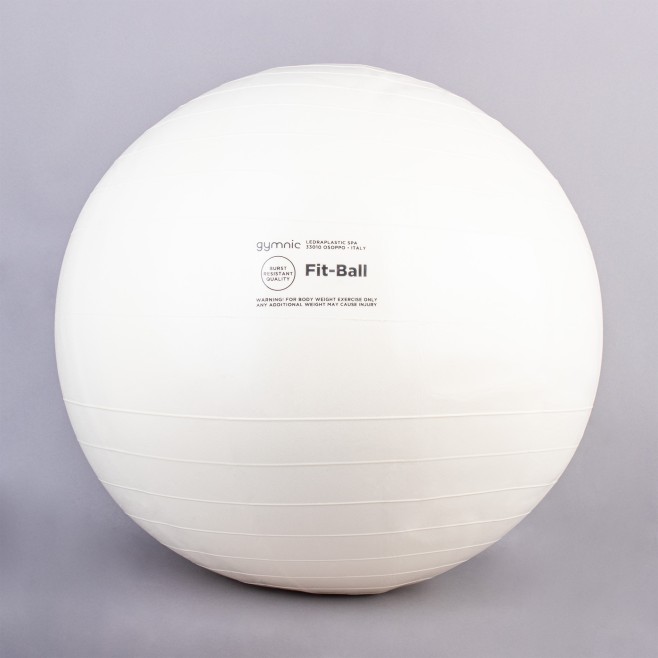 BOLA LEDRA FIT BALL