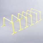 ADJUSTABLE HURDLES SET (20-30cm)