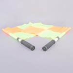 AUXILIARY REFEREE SET (PAIR)