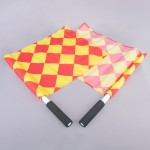 PROFESSIONAL AUXILIARY REFEREE KIT