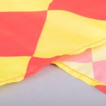 PROFESSIONAL AUXILIARY REFEREE KIT