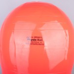 PHYSIO-ROLL BALL