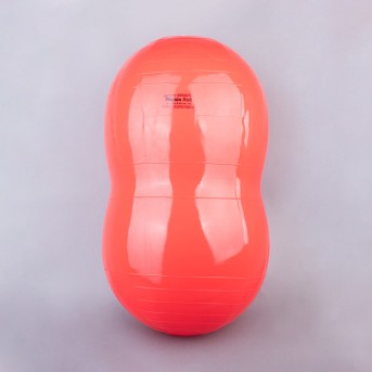 PHYSIO-ROLL BALL