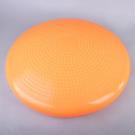 BALANCE CUSHION (55cm)