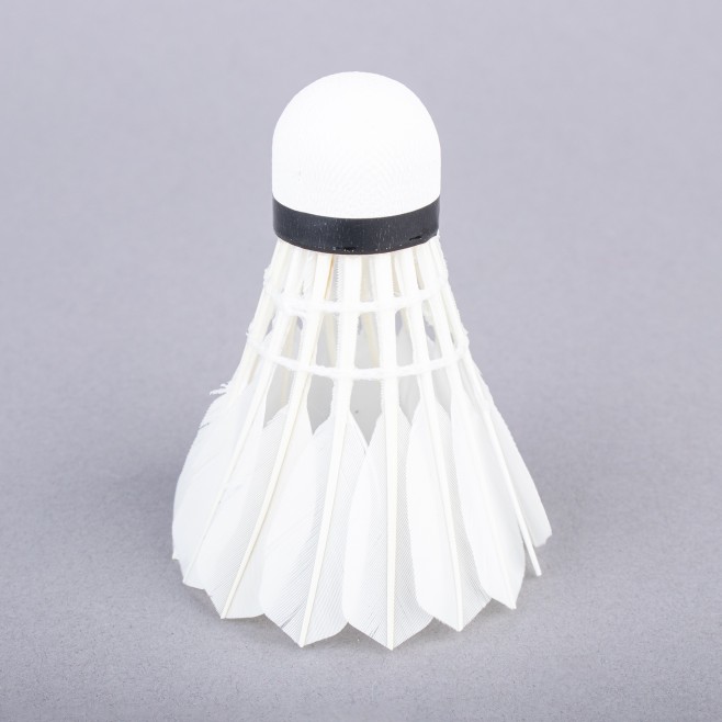 TOPGIM ADVANCED SHUTTLECOCKS (12 UNITS)