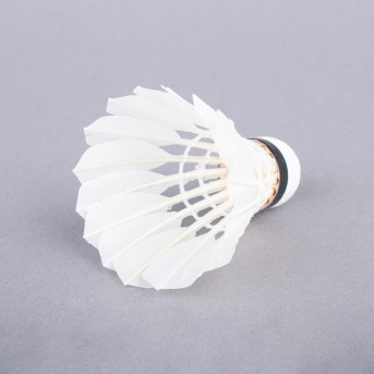 TOPGIM ADVANCED SHUTTLECOCKS (12 UNITS)