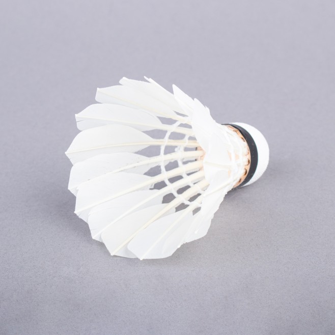 TOPGIM ADVANCED SHUTTLECOCKS (12 UNITS)