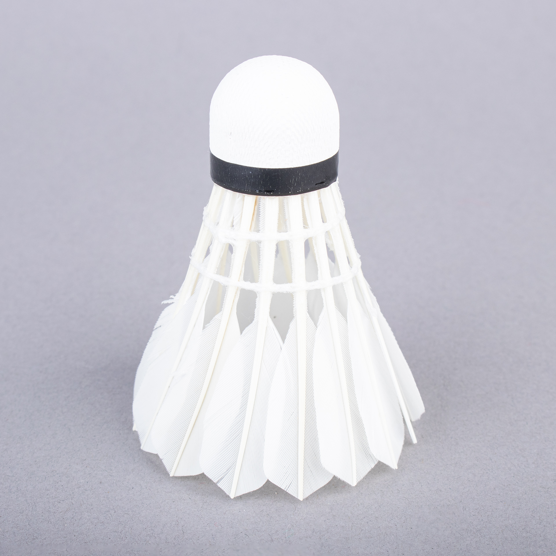 TOPGIM ADVANCED SHUTTLECOCKS (12 UNITS)