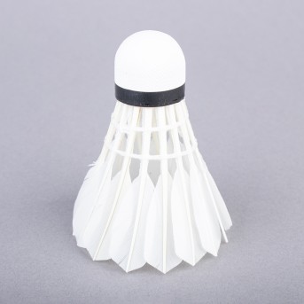 TOPGIM ADVANCED SHUTTLECOCKS (12 UNITS)