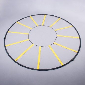 AGILITY AND SPEED LADDER IN A CIRCLE