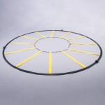 AGILITY AND SPEED LADDER IN A CIRCLE