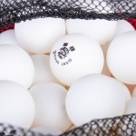 TABLE TENNIS BALL PREMIUM (100 UNITS)