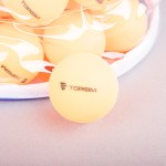 TABLE TENNIS BALL (100 UNITS)