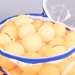 TABLE TENNIS BALL (100 UNITS)