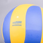 VOLLEYBALL BALL TOPGIM TRAINING