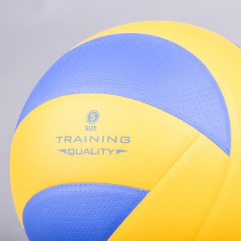 VOLLEYBALL BALL TOPGIM TRAINING