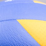 VOLLEYBALL BALL TOPGIM TRAINING