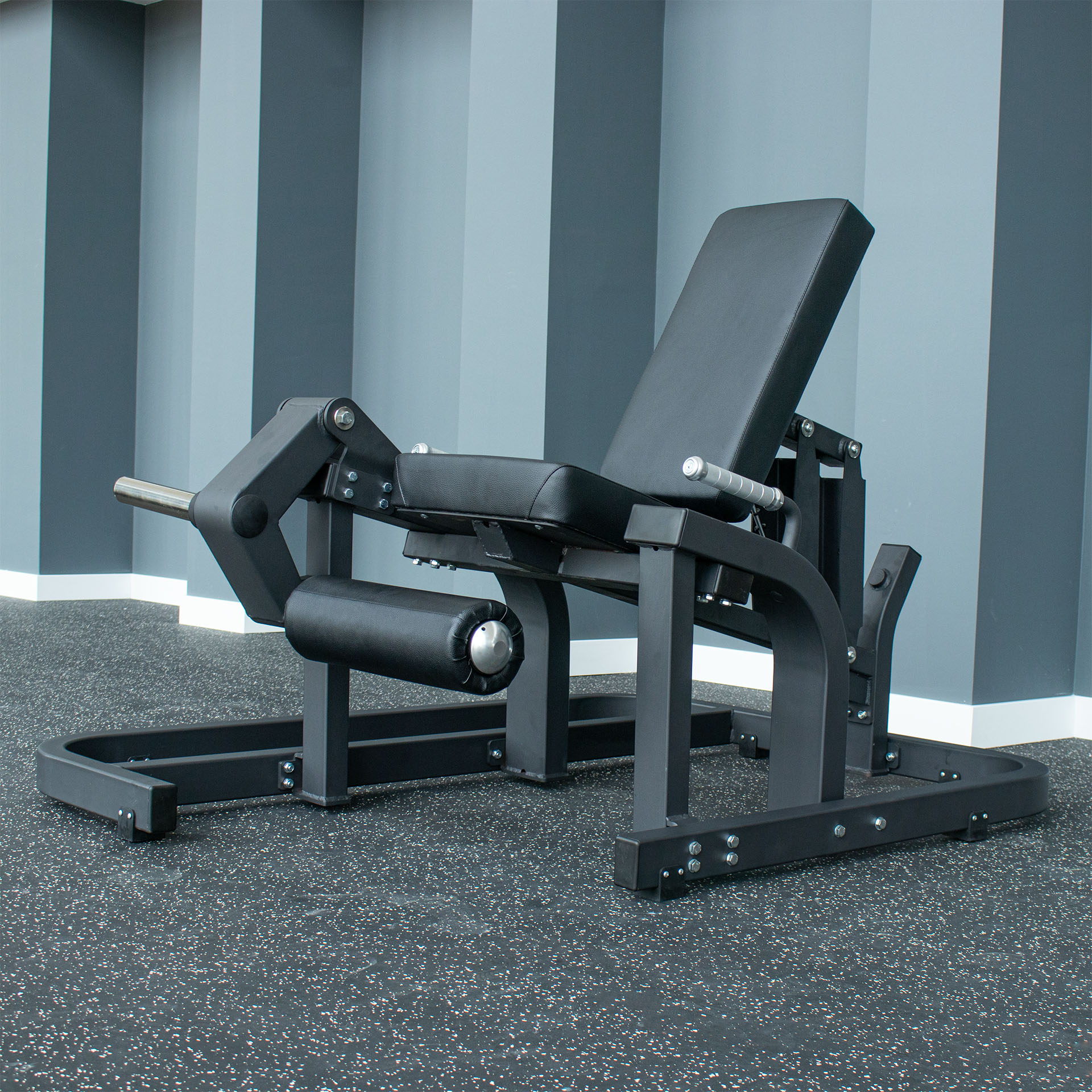 LEG EXTENSION PL